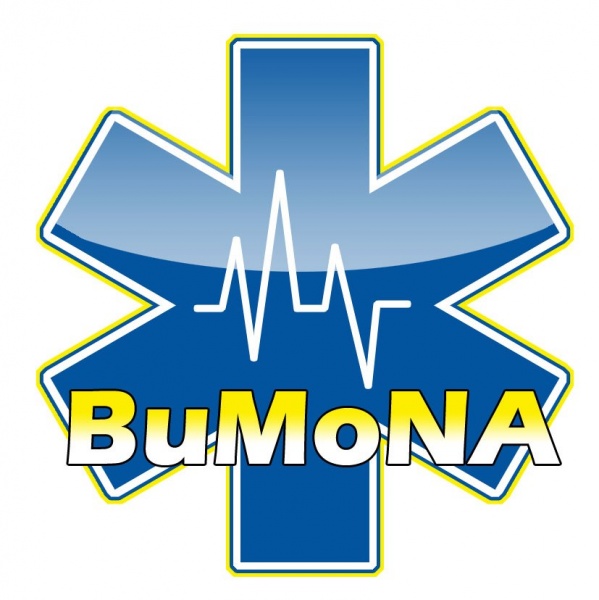 Datei:BuMoNA-Logo (neu, Farbe).jpg